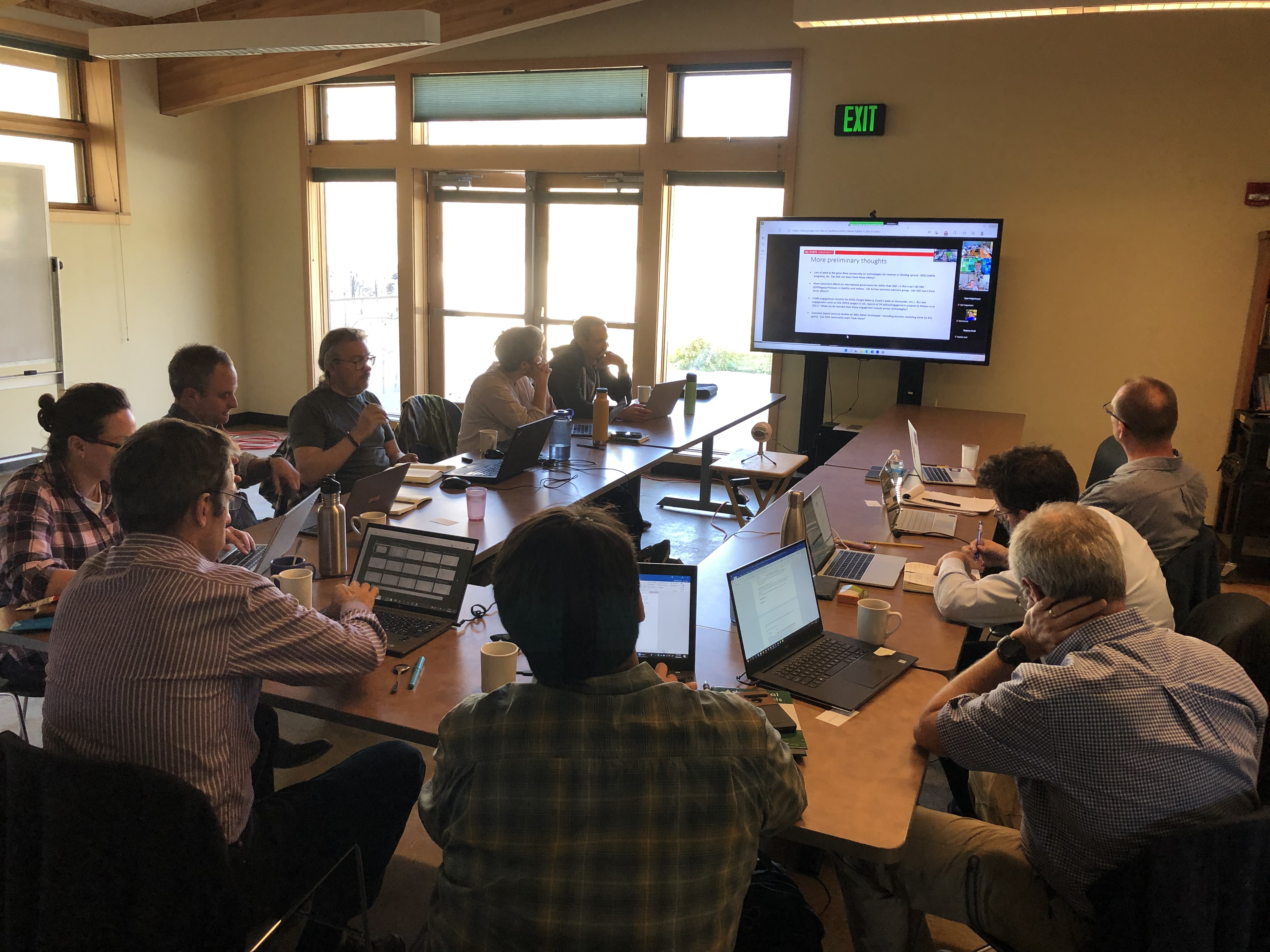 Group meeting and collaboration