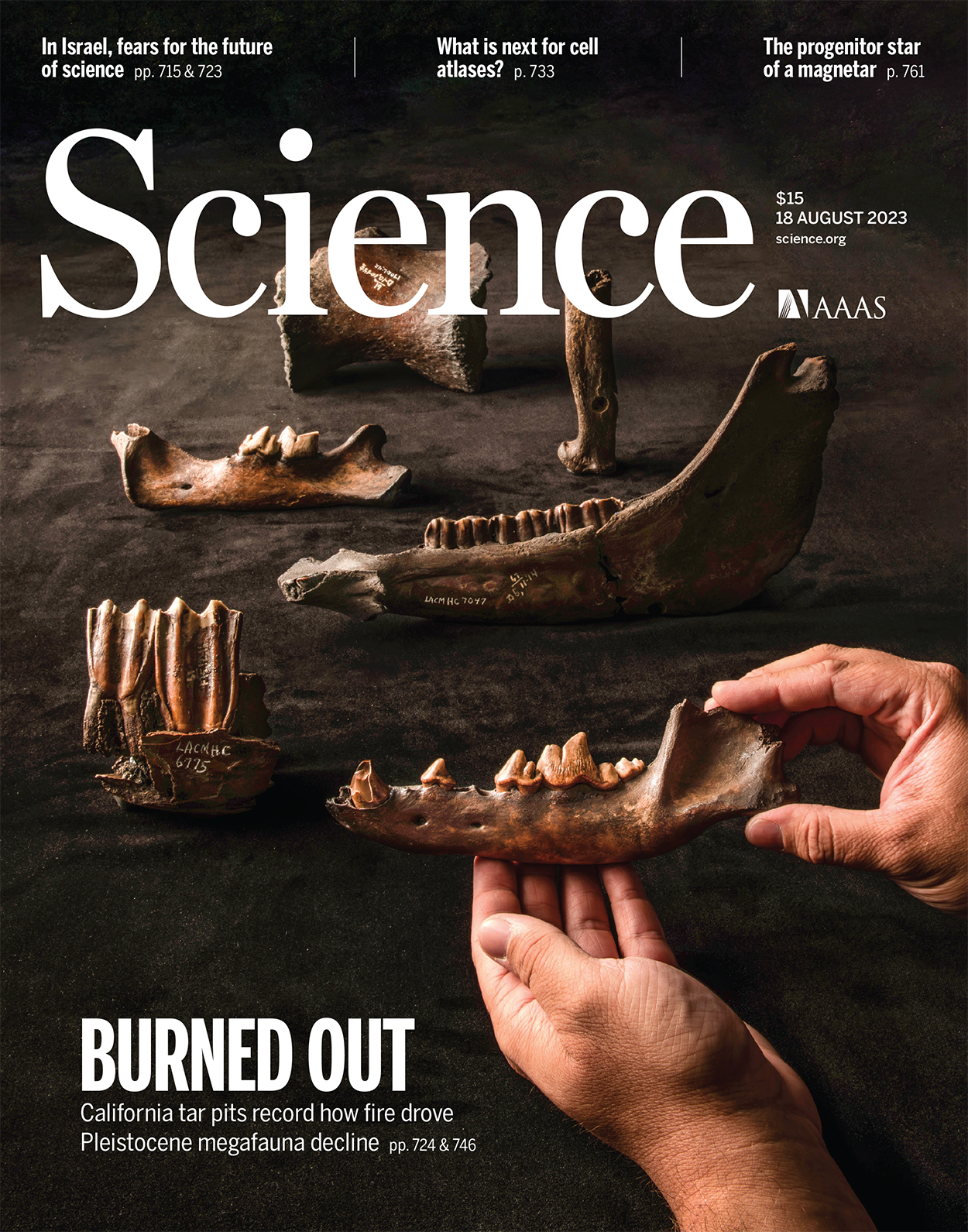 Science cover